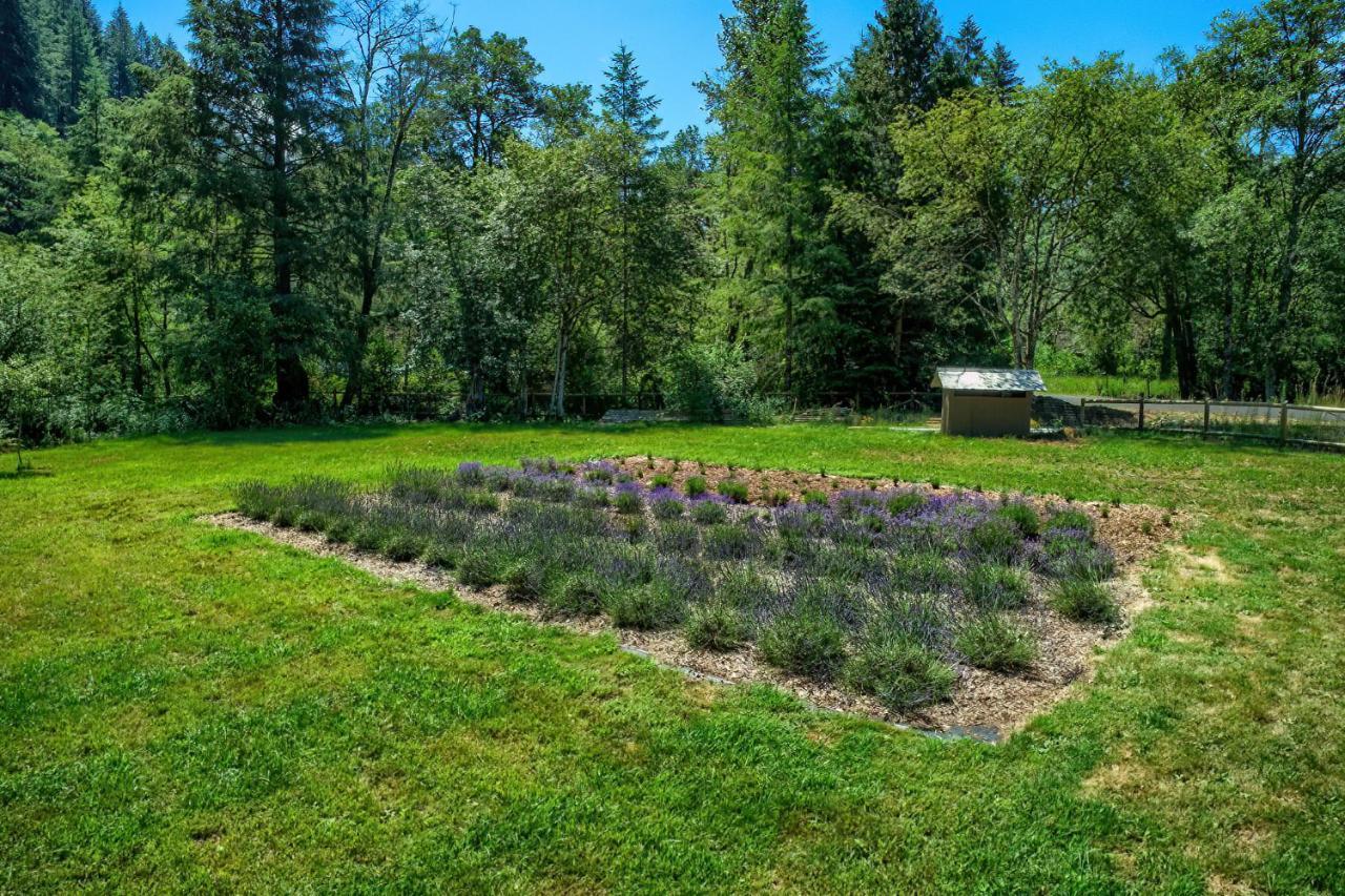 Angels Rest B&B Lavender Farm Skamania Exteriör bild